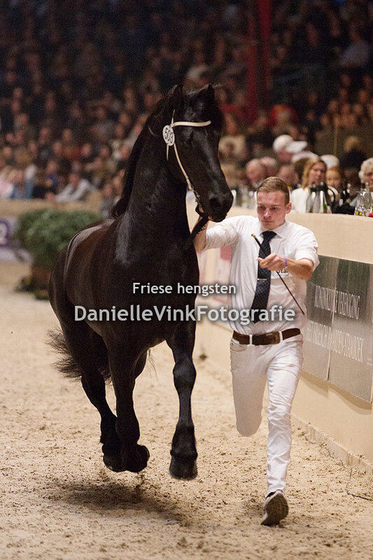 Hengstenkeuring 2018 Tymen 503