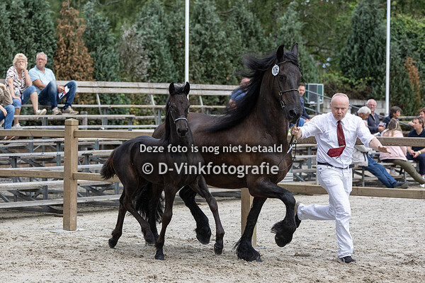 106. Djetske setske p