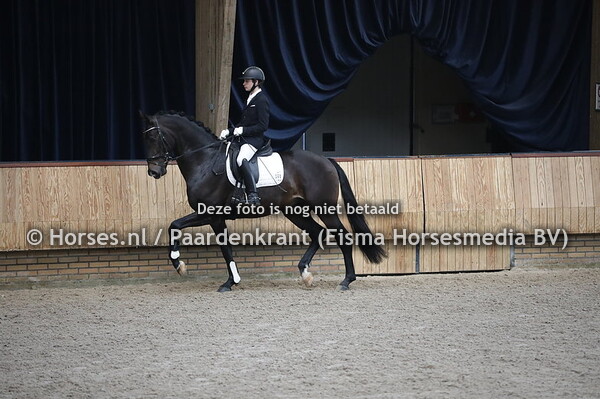 48 Monsieur Utopia (Expression x Allure Utopia v. Uphill)