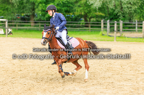 CH Manege Sintels Pony 70 ab 19-05-24