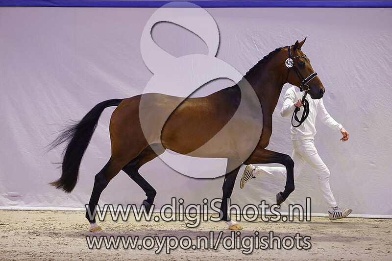 Next Pitch US v. Geniaal