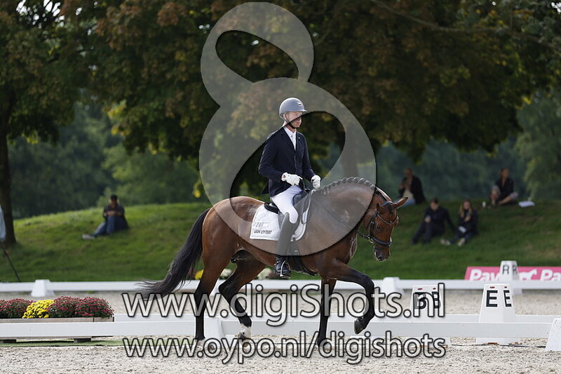 O'toto van de wimphof