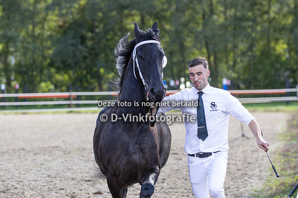 29. Flirt van Zomerstaete