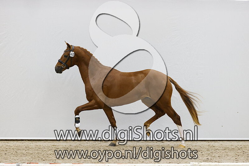 Santiago H v. Apache