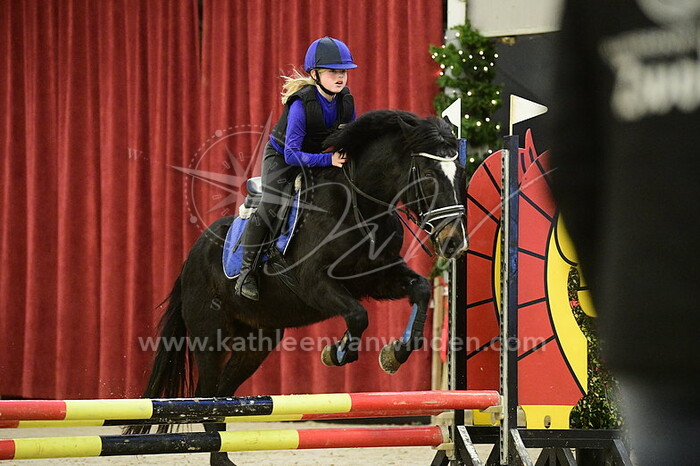 Lisa van der Steege - Darcy