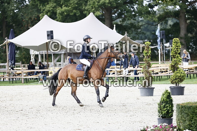 constanca almeida fernandes