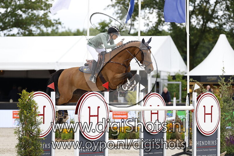 I'Am Moerhoeve'S Princess Z