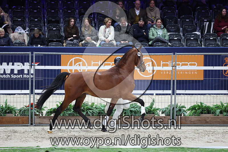 Showtime v. Mexpression