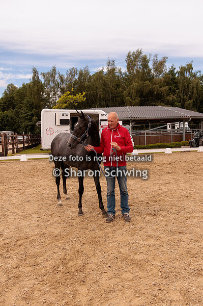 Vrouwelijke jaarlingen springen