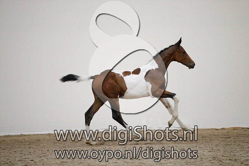 Torina van den Bisschop v. El Barone 111 Z