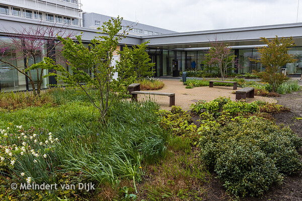 MCL - Spoedplein - Dokterswacht & Spoedeisende Hulp (SEH)