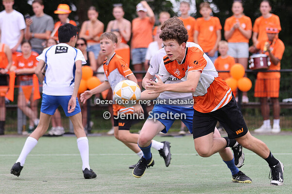 2025-06-14-NKB-12-ODO - Weidevogels