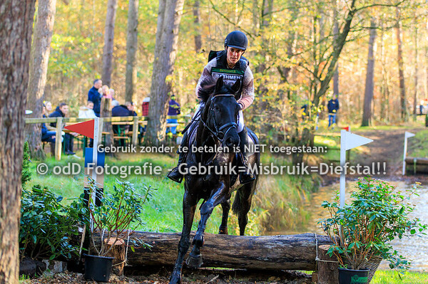 SGW Bathmen Paarden B 03-11-24