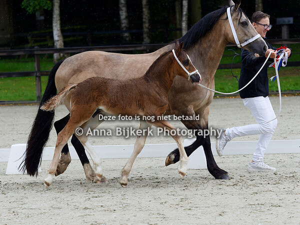 Sectie D keuring, 02-08-2025