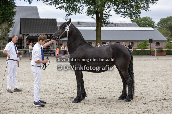 84. Layka van Bart zunne Stal