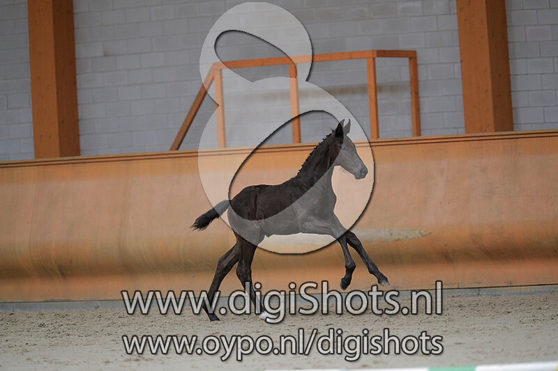 One Change v. Desperado