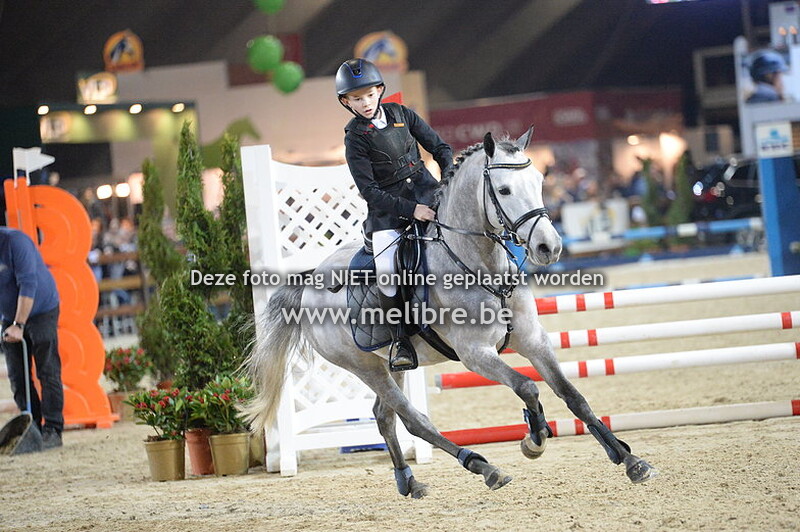 JM18 -DO- Belgische Rijpony 3