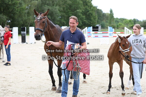 13. Springveulens mannelijk