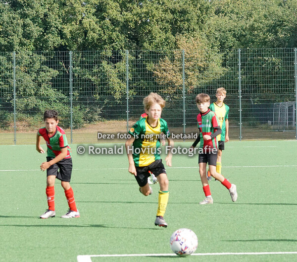 23-08-2025 Zuidvogels JO13-3 - Huizen JO13-3
