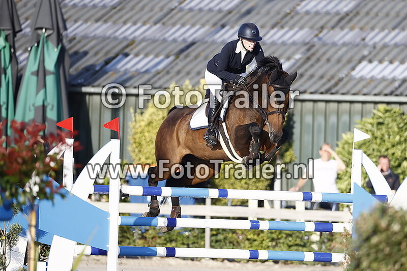 fabienne lichtenvoort cats