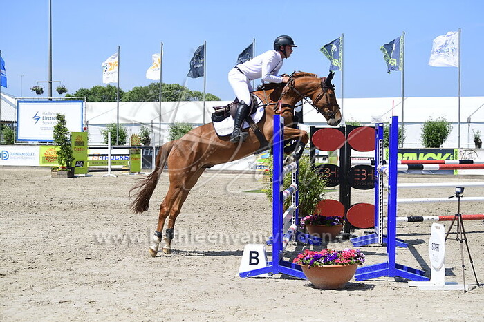 Sjoerd Kommers - Dieu de Diamant Z