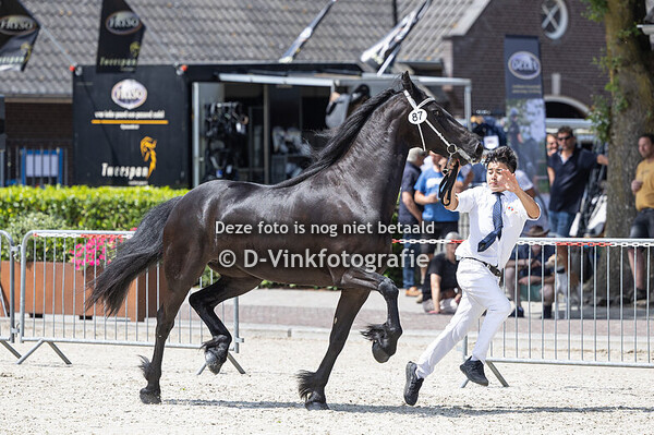 87. Vroukje van de Gekahoeve