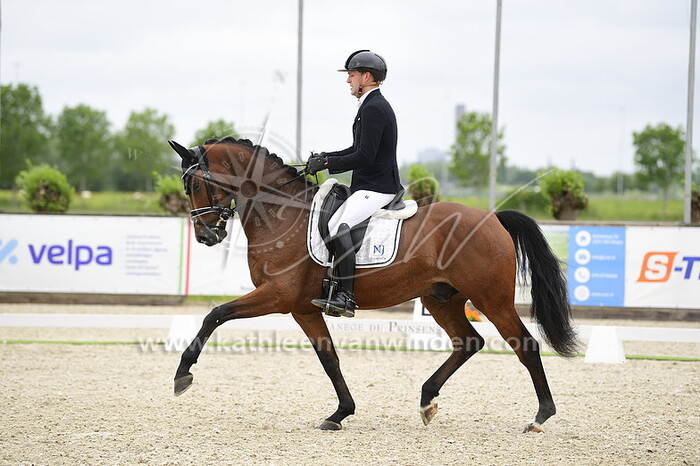 Gerrel Vink - Olivius