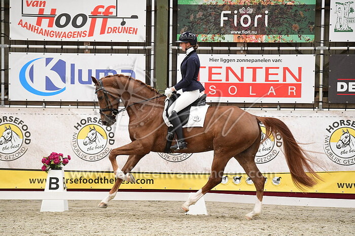 Alexsandrya Albright - Ozzman