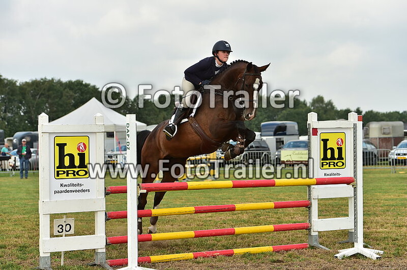 danielle van harskamp