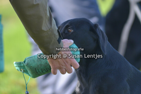 WT Kamerik 13 oktober 2024 B1