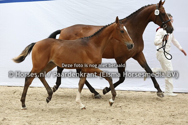 23 Vunanita (Grand Slam x Hunanita v. Charisma)