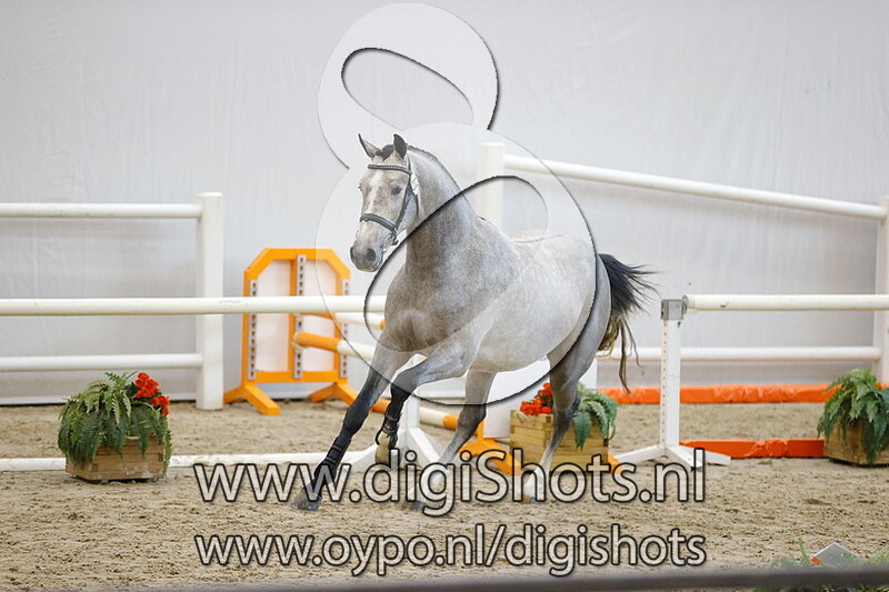 Nacho TCS v. Zambesi