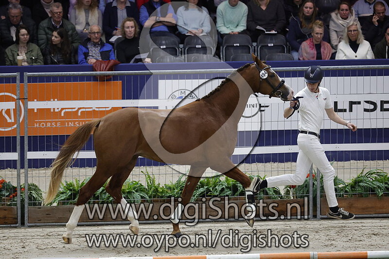 Picasso v. Lennox US - 494