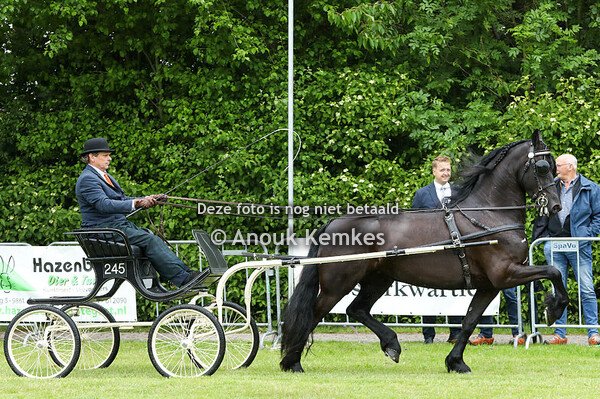 Friezen Limiet Groep 1