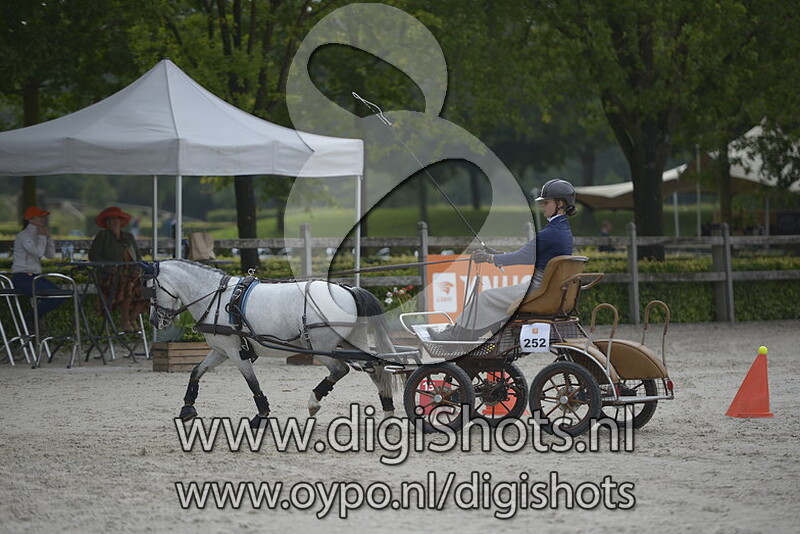 Nienke van der Burgh