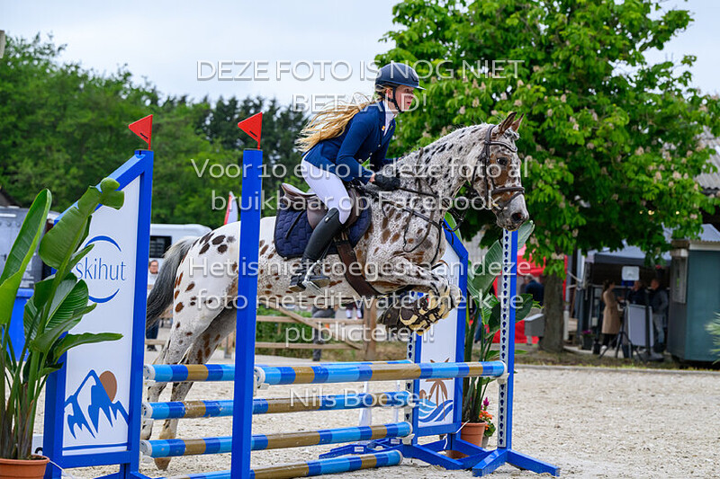 4 Rijstijl pony's 0.70-0.80 cm cat. CDE MB-ZB