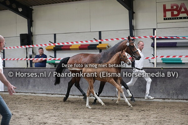 35 Love-Ability (Znik x Saffier v. Havidoff)