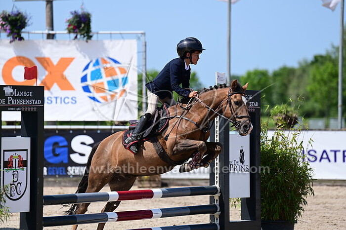 Jayvin Gerritsen - Jacodi's Adino