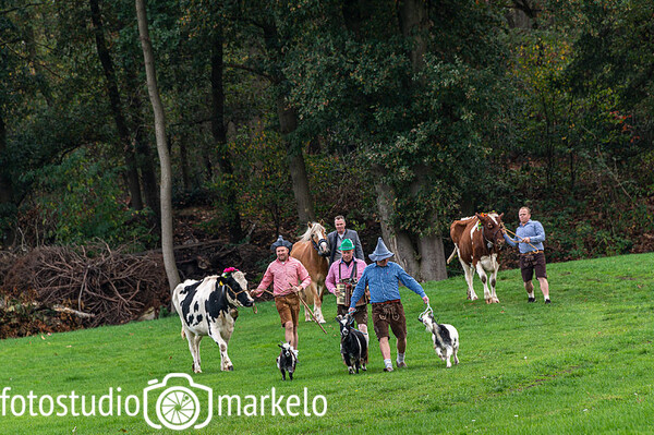 Dieker Alm Abtrieb in Markelo 2022