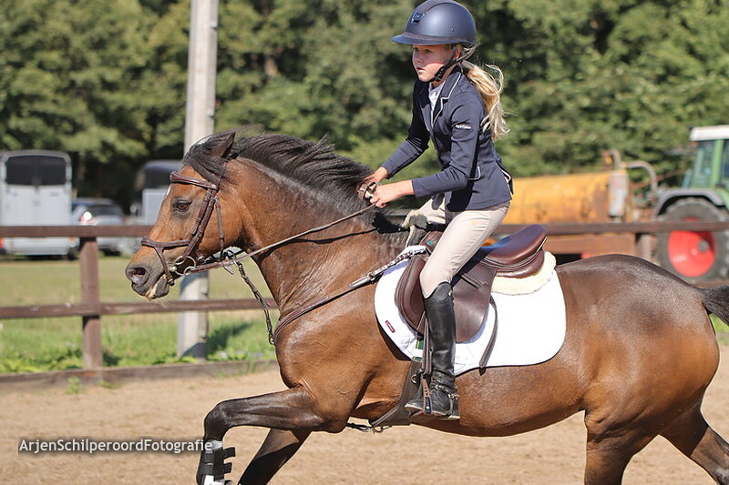 Horka Concours 03-09-2022 Rubriek 3 80cm C