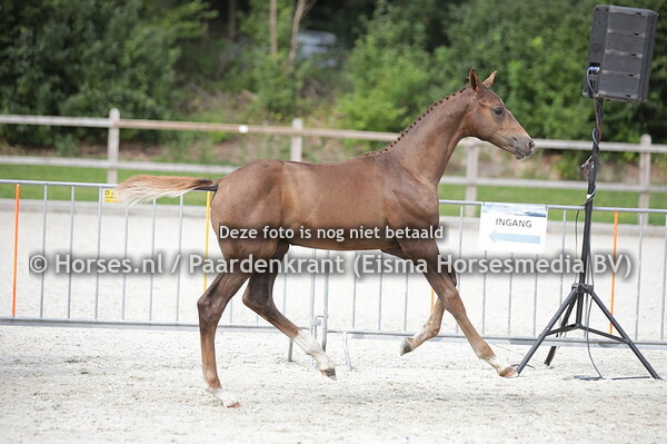 10 Savian (Novian v. Noa Jones v. Desperado)