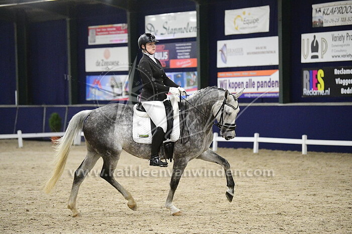 Susan van Dongen - Kadivette II