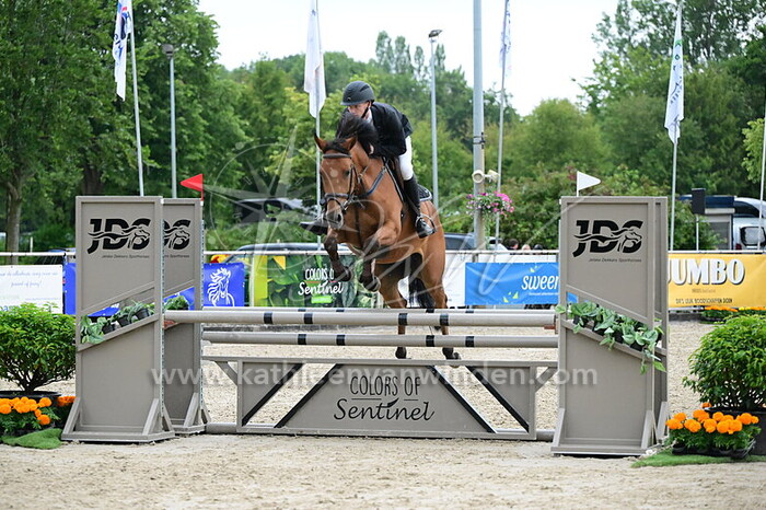 Brian Martens - Vertigo v.h. Hellegat Z