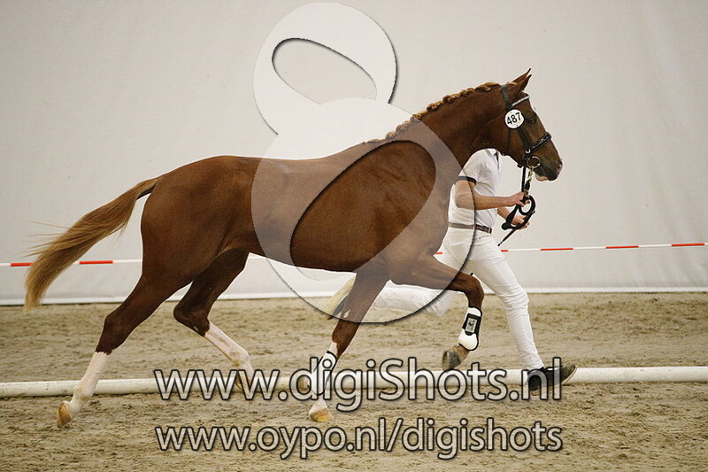 487 Qadansky van het Bloemenhof v. Grand Galaxy Win