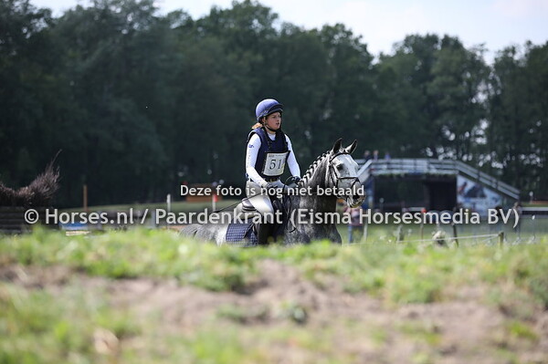 512 Juan Carlos (Dallas x Nor or Never M x Iroko) Quinty van Tatenhove