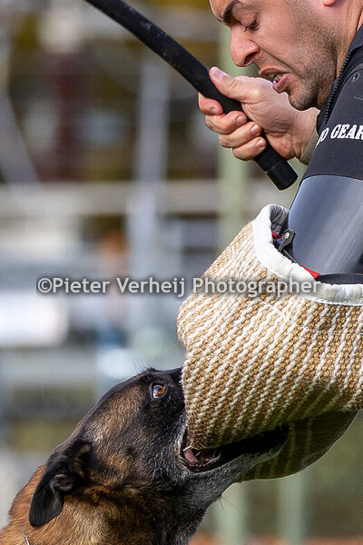 Jack Brandon met Patriot van de Berlex hoeve