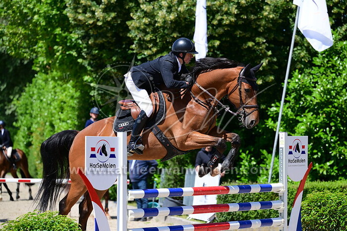 Tibo Hendrickx - L'Espose