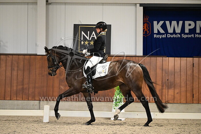 Krista Kolijn - Robijn