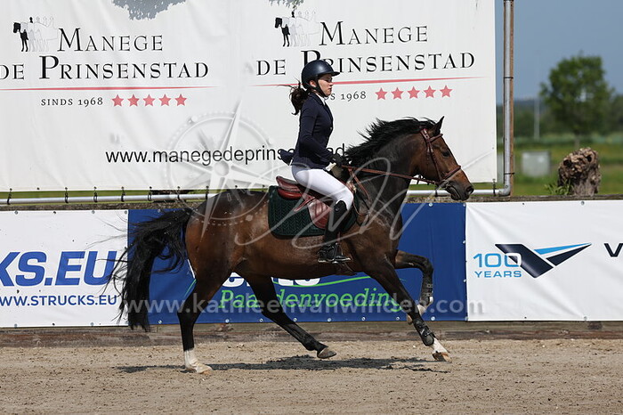 Claire Gerzon - Fynn