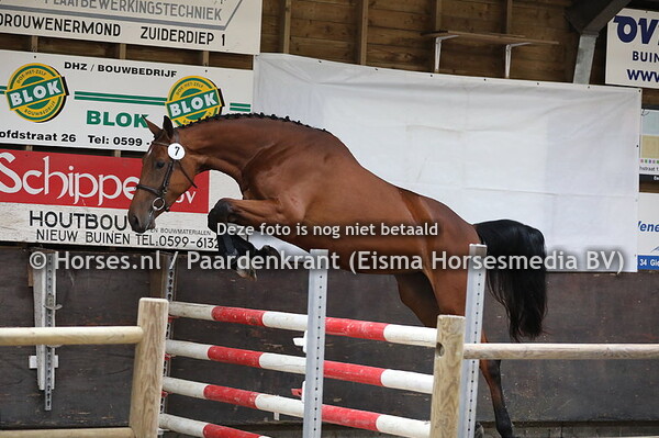 7 Meloma HB V Impressive